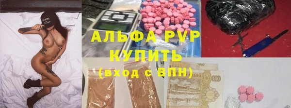 шишки Беломорск