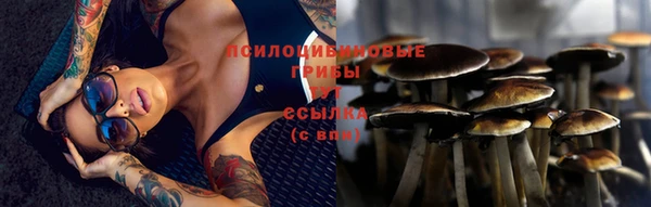 шишки Беломорск