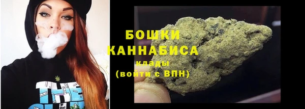 шишки Беломорск