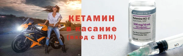 шишки Беломорск