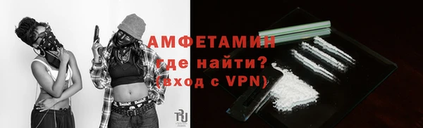шишки Беломорск