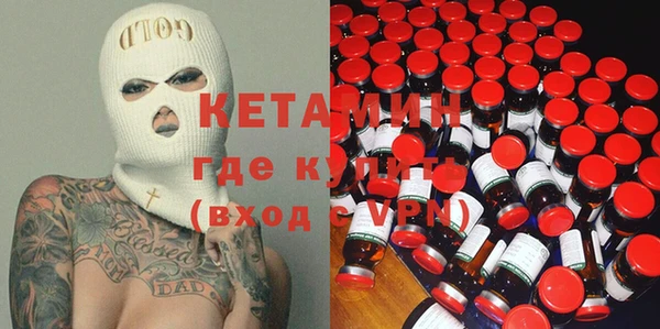 шишки Беломорск