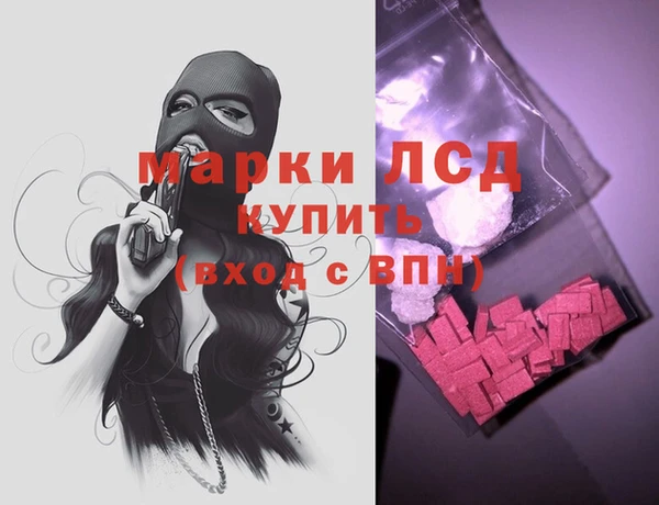 шишки Беломорск