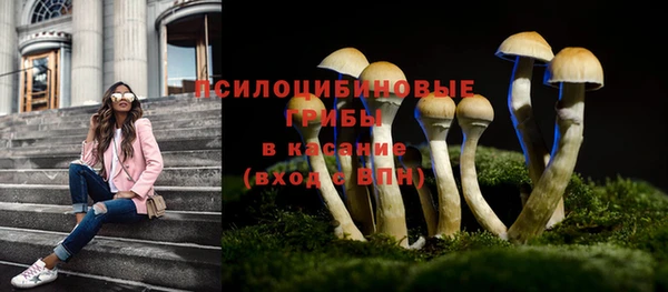 шишки Беломорск