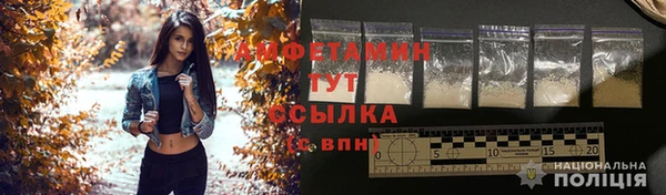 шишки Беломорск