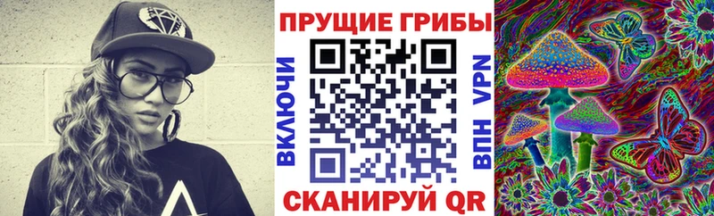 как найти закладки  Мезень  hydra ONION  Псилоцибиновые грибы мухоморы 